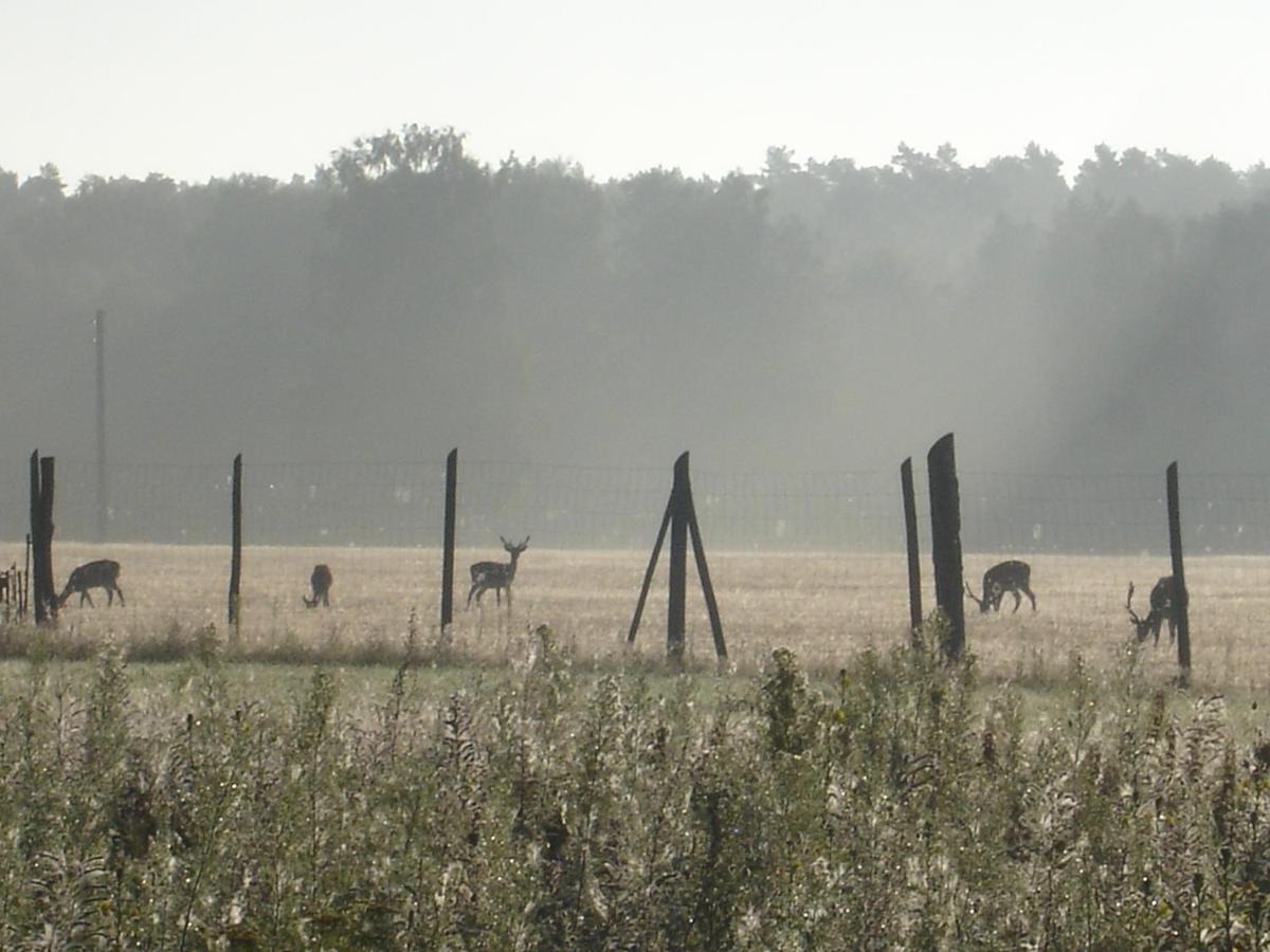Ferienwohnung 1 Im Landhaus Am Wildpark Boek Esterno foto